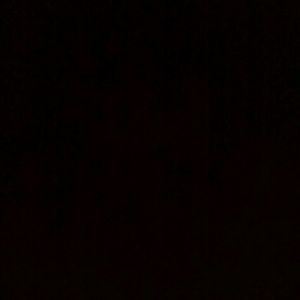 Meet your Posher, Silvia